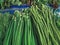 Piles of Various Kinds of Fresh Green Vegetables for Sale at Market Stall