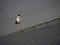 Pilgrim crossing the tidal bay at Mont Saint Michel, France