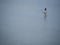 Pilgrim crossing the tidal bay at Mont Saint Michel, France