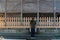 A pilgrim praying at Atago Jinja, in Fukuoka