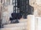 The Pilgrim prays on the steps of the Church of the Holy Sepulchre in the old city of Jerusalem, Israel.