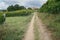 Pilgrim trail, Camino de Santiago, Spain