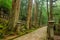 Pilgrimage Route, Mount Koya