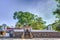 In the pilgrimage site of the old royal city Anuradhapura on the tropical island Sri Lanka stands the Sri Mahabodhi tree, the olde