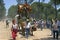 Pilgrims on dusty forest path, El Rocio, Andalusia