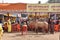 Pilgrims Are Served Meal At A Transit Camp On Way to Gangasagar,in Kolkata.