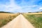 Pilgrims walking the Camino de Stiago in Spain, immersed in a peaceful countryside, surrounded by meadow fields