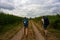 Pilgrims walking next to the corn field along the way of Saint Jacques du Puy