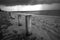 Pilings in Storm at Beach