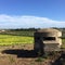 Pill Box in Sicily