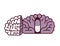 Pill in brain illustration.Placebo concept.