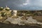 Pillar and ancient street in sunlight during storm in ruins with dramatic cloudscape in Tyre, Sour, Lebanon