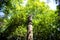 Pillar of Ashoka in Chiang Mai, Thailand