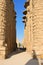 Pillar, Karnak Temple in Egypt, Africa