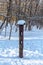 Pillar-shaped bird feeder in city park