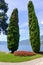 Pillar shaped green trees on Lake Como shore