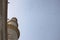 Pillar Of Taj Mahal with birds flying in surrounding