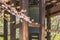 Pillars of buddhist bonsho bell surrounding by cherry blossoms in Zojoji temple.