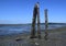 Pillars during low tide, Royston Vancouver Island