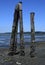 Pillars during low tide, Royston Vancouver Island