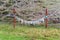 Pillars with ritual ribbons Kiyir