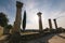 Pillars of the roman ruins, Volubilis, Morocco