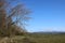 Pilling marsh, sea wall and view to Bowland Fells