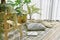 Pillow and soft blanket in relaxing space, Comfort living room with warm and cozy natural light, Artificial plant, Indoor tropical