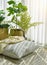 Pillow and soft blanket in relaxing space, Comfort living room with warm and cozy natural light, Artificial plant, Indoor tropical