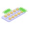 Pills antibiotic resistance icon, isometric style