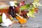 Pills medicine and thermometer with autumn leaves cold and flu treatment concept