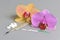 Pills, mercury thermometer, ovulation test, two orchid flowers on gray