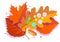 Pills and tablets on red falling leaf. Antidepressants, autumn cold and flu. Flat  illustration on white isolated background