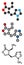 Pilocarpine alkaloid drug molecule. Used in treatment of glaucoma and dry mouth (xerostomia).Pilocarpine alkaloid drug molecule.