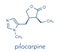 Pilocarpine drug molecule. Skeletal formula