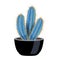 Pilosocereus Pot Cactus Composition