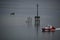 Pilot boat passing near a fairway light and fishing boat