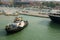 Pilot Boat in Venice Cruise Harbour