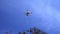 The pilot catches the drone against the blue sky, Copter, the drone descends from the top and lands in the man`s hand