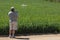 Pilot Flying Unmanned Aircraft Drone Gathering Data Over Country Farmland Field