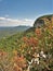 Pilot Mountain State Park Pinnacle