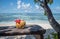 Pina colada in coconut on the tropical beach, Seychelles