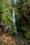 Pinard Falls Umpqua National Forest in Oregon