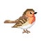 Pinch bird. Pixel Pinch bird image. Vector Illustration of pixel art