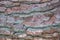Pine bark closeup background and textures
