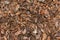 Pine Bark Mulch. A pile of wood chips to be used as landscaping mulch