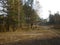 Pine and birch forest, a crossroads in the forest autumn tree shadows