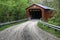 Pine Bluff Covered Bridge in Indiana, United States