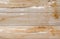 pine boards, natural milled old wood at close range, wallpaper, background for graphic designs