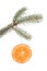 Pine branch with dried orange slice isolated